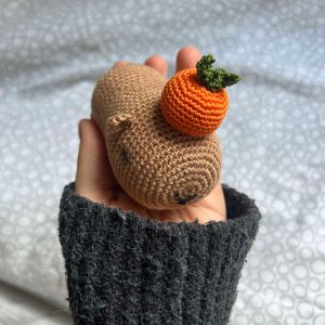 Mini Capybara