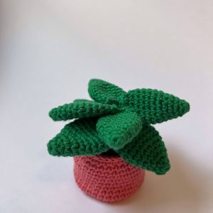 Crochet succulent