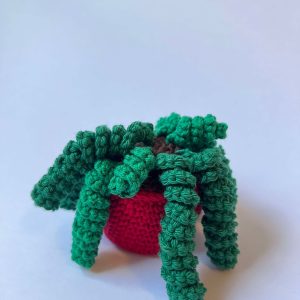 Crochet plant